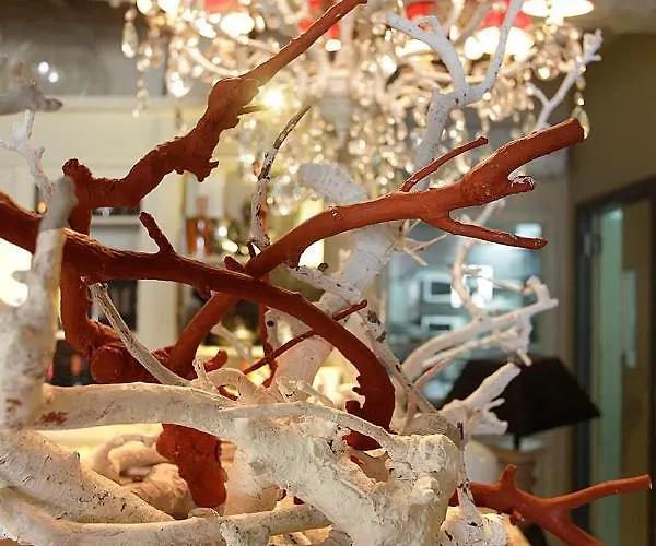 Bed and Breakfast Il Canovaccio Campiglia Marittima