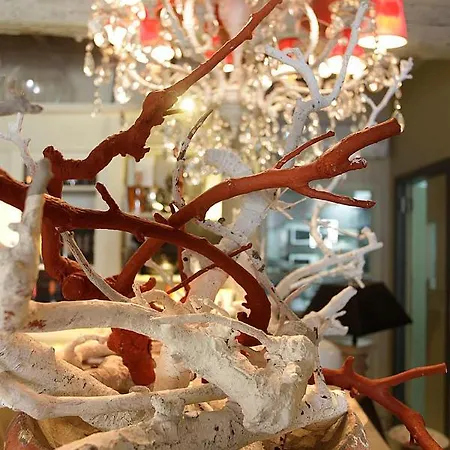 Bed & Breakfast Il Canovaccio Campiglia Marittima